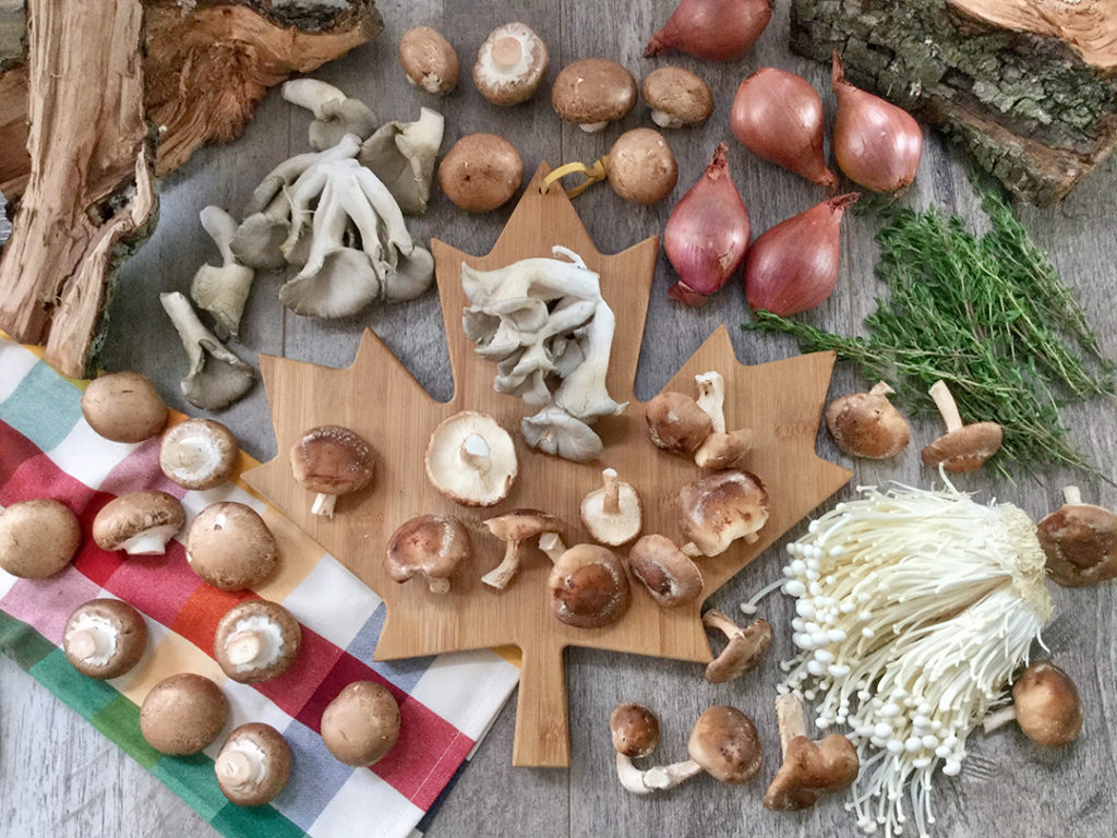 canadian mushroom varieties