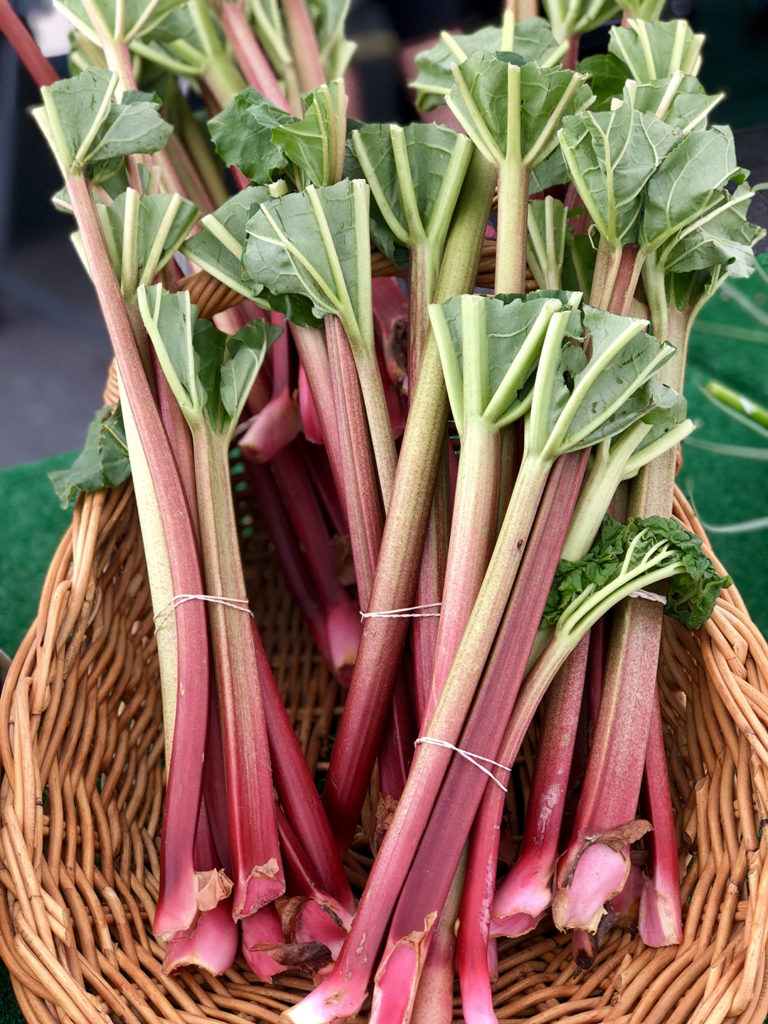 Ontario rhubarb