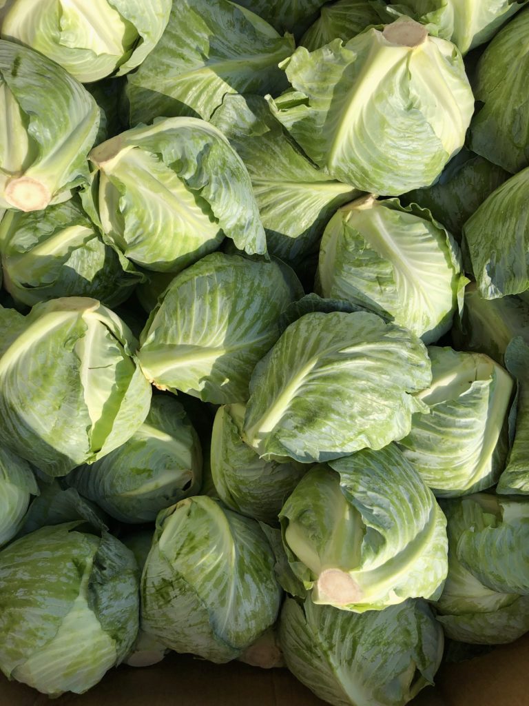 Cabbage rolls in a bin
