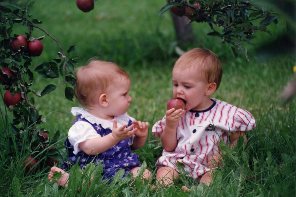Two toddlers sharing an apple in an orchard
