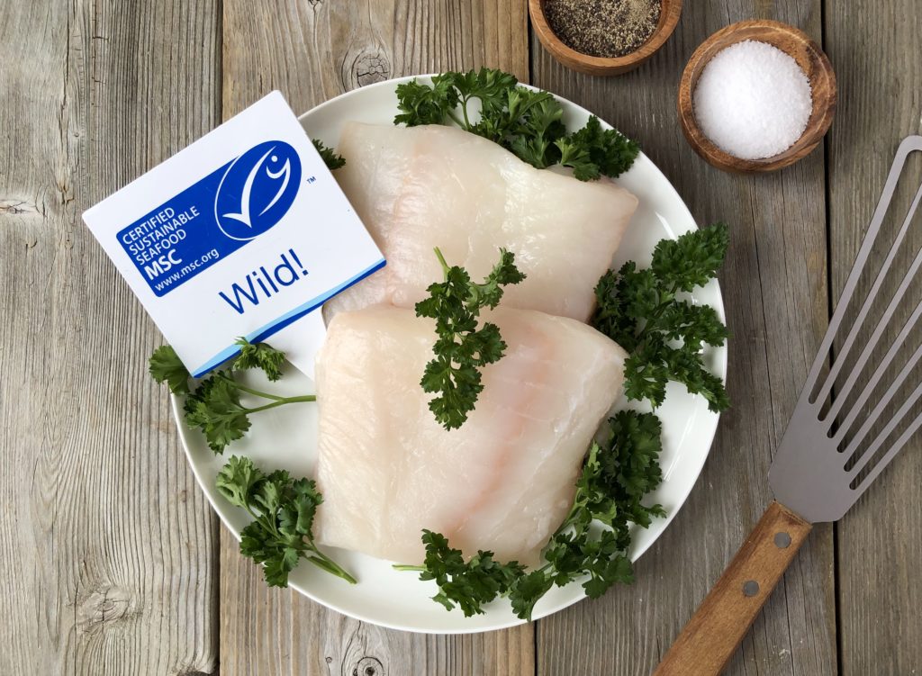 Raw halibut fillets on a plate
