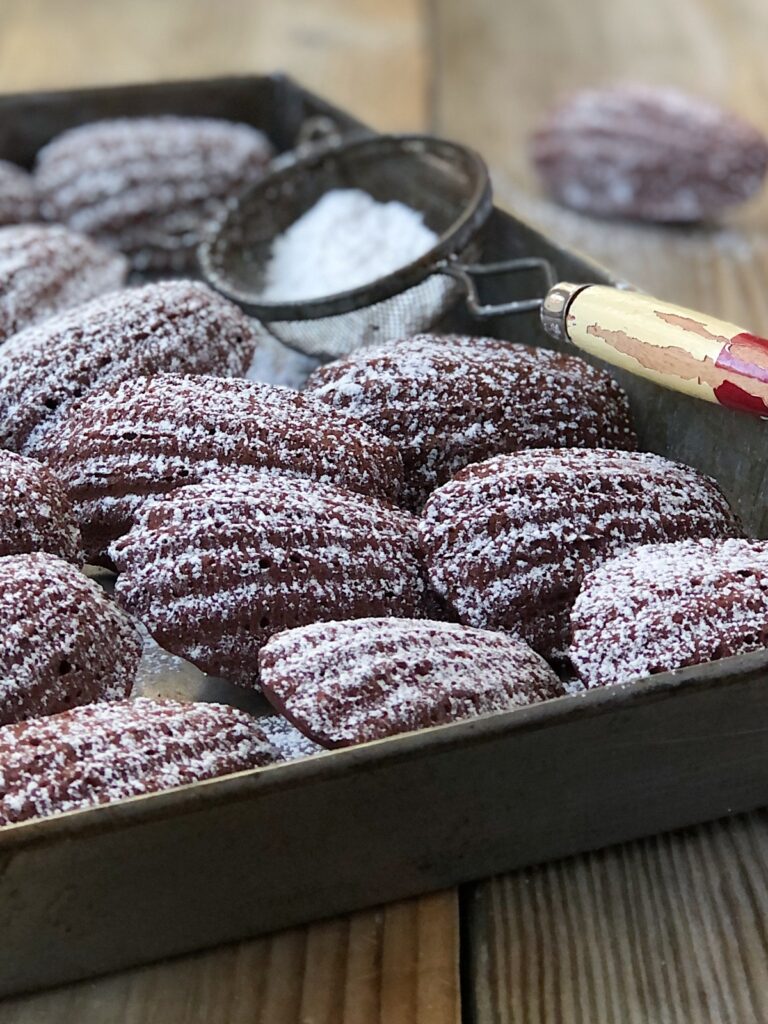 Chocolate madeleines dusted with confectioner’s sugar.